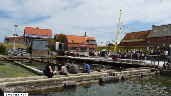Yerseke Netherlands Mussels Festival