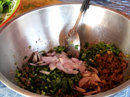 Lao Food Minced Duck Salad